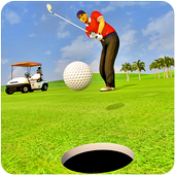 打高爾夫球錦標賽Play Golf Championship