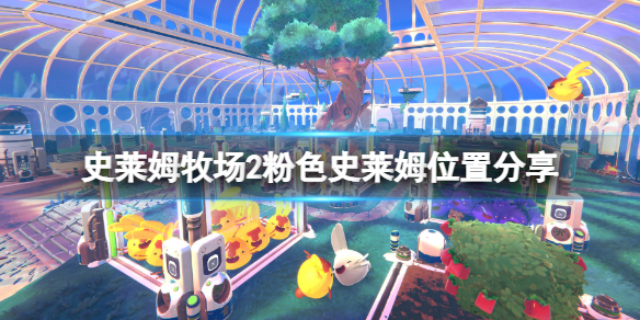 584_dd2c78aa-519b-d098-291f-19ac383e6b542741.jpg