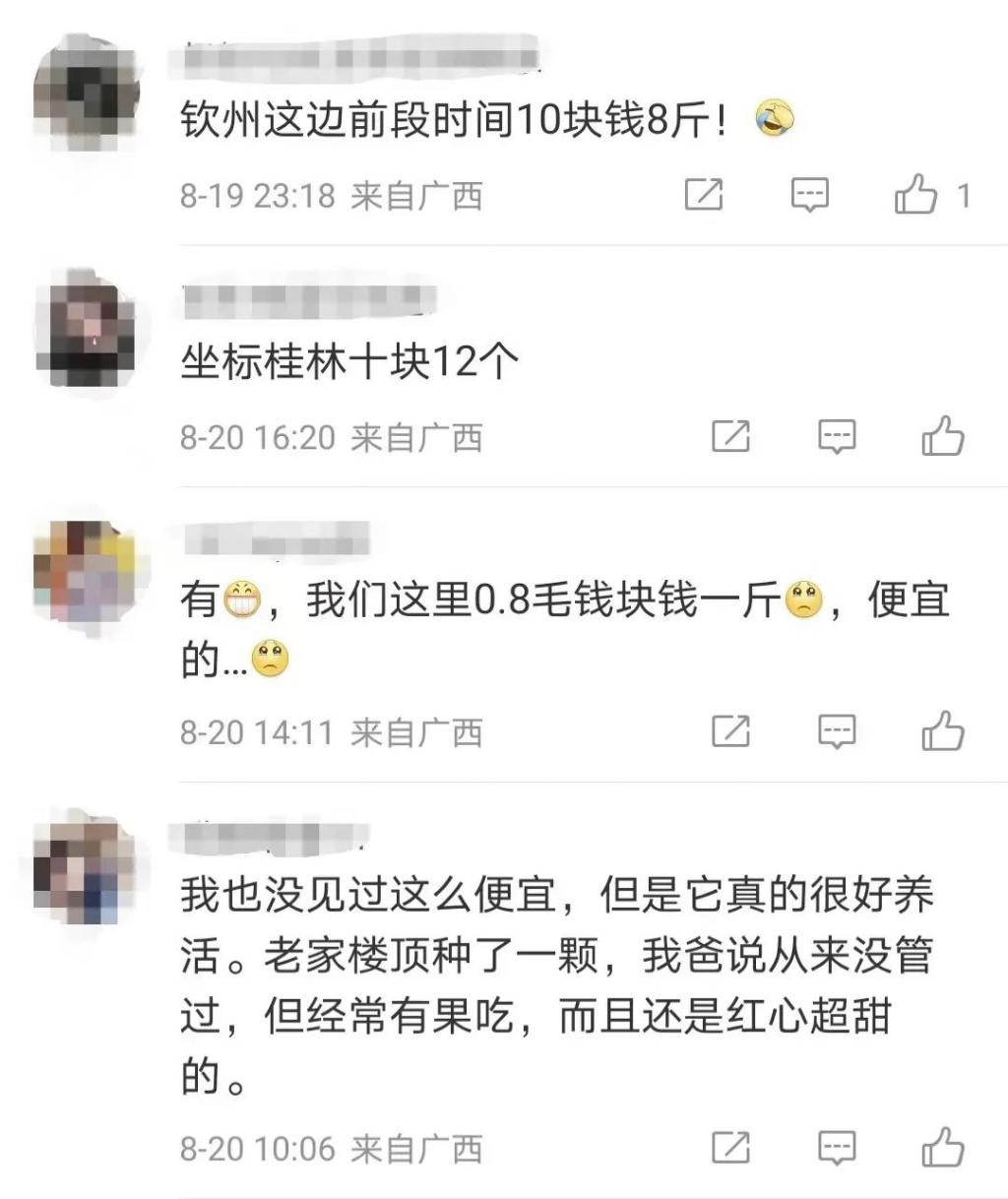 632fe2ac8e9f096bcd517bb3_10242123.jpg