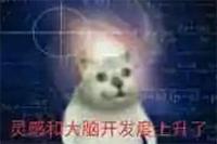 634fda37622768f01b00001f_10242405.jpg