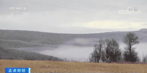 6357e574b15ec079b35013a1_10242533.jpg