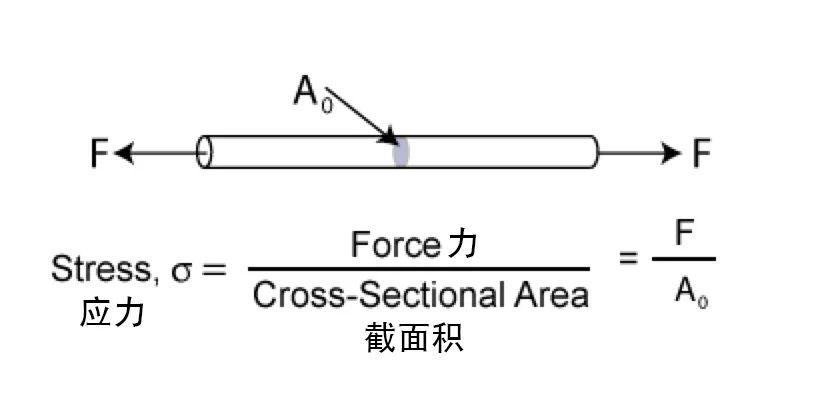 6371a718b15ec0613b0cc308_10245259.jpg