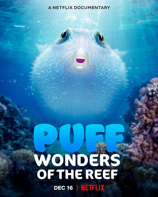 河豚之家：神奇的珊瑚礁[簡繁英字幕].Puff.Wonders.of.the.Reef.2021.1080p.NF.WEB-DL.DDP.5.1.H.264-D 高清電影 2021 其它 其它 WEB