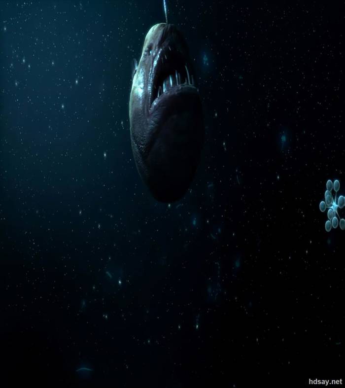 深海體驗