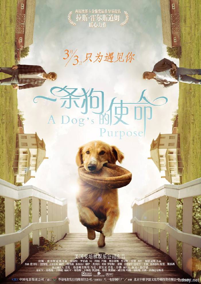 一條狗的使命.BD
