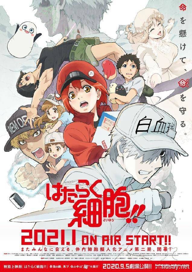 工作細胞