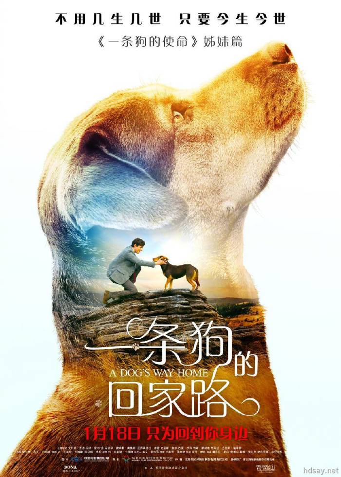 一條狗的回家路.BD