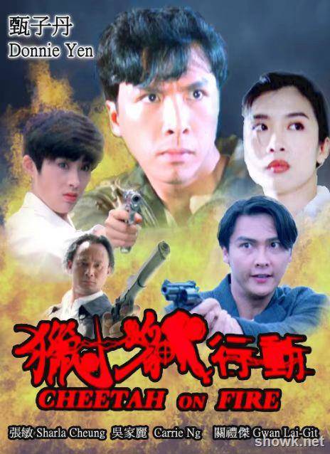 獵豹行動